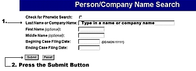 Person/Company Name Search example